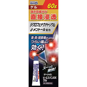 ビーエスバンDXゲル 60g